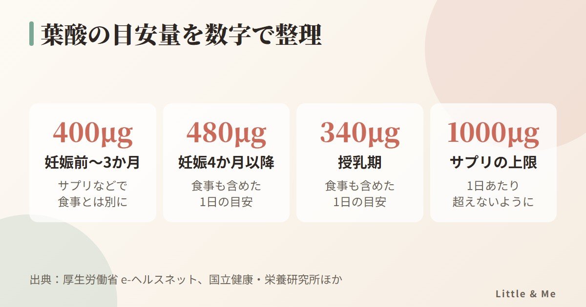 葉酸の目安量:妊娠初期400μg、妊娠4か月以降480μg、授乳期340μg、上限1000μg