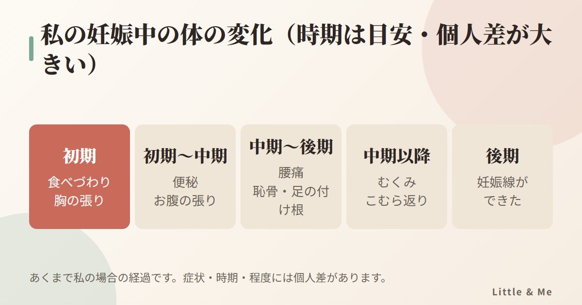 私の妊娠中の体の変化の流れ：初期は食べづわりと胸の張り、中期〜後期は腰痛や恥骨の痛み、むくみ、後期に妊娠線